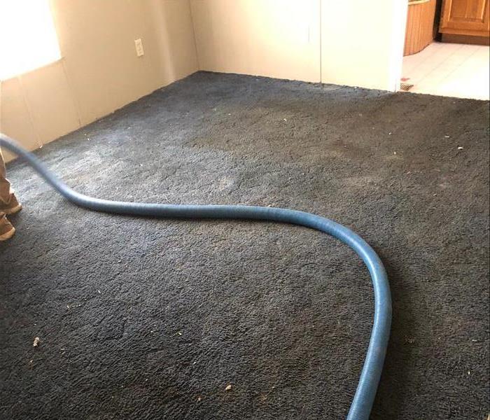 Room in house with dark blue dirty carpet 