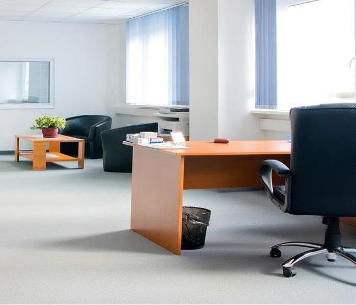 Office space with desks, black desk chairs, and grey carpet. 
